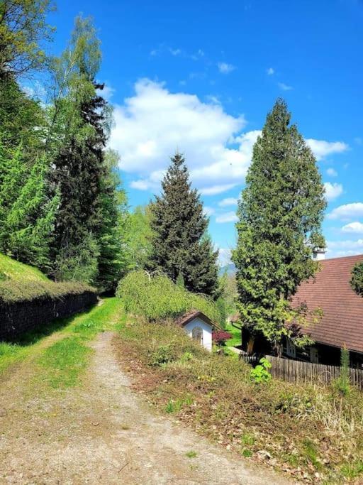Roubenka U Kaplicky Villa Liberec Eksteriør billede