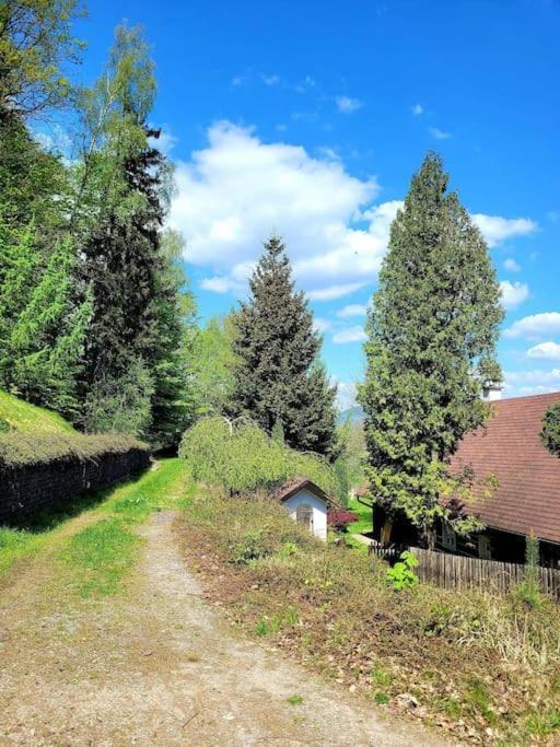 Roubenka U Kaplicky Villa Liberec Eksteriør billede